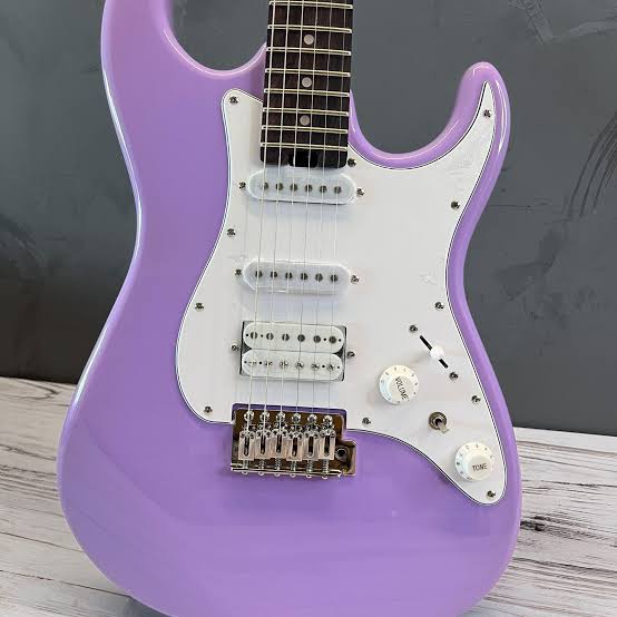Guitarra Soloking MS-1 Basic – Rosewood – (Purple)